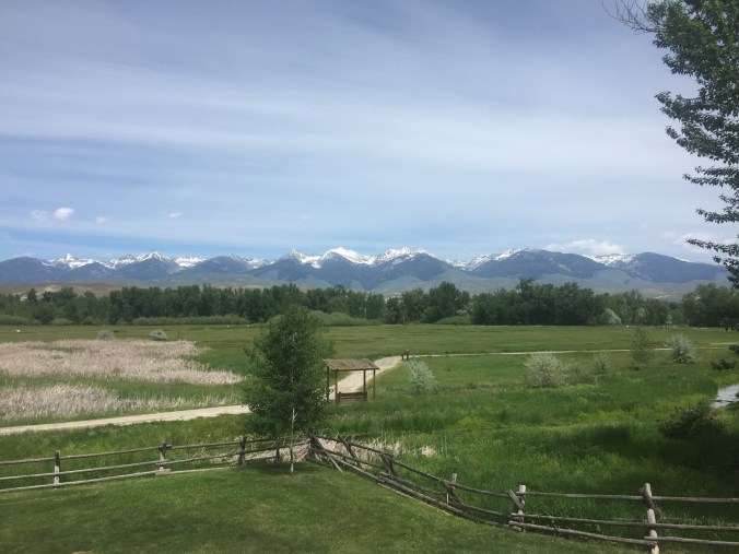 Beaverhead Mountains, Salmon ID